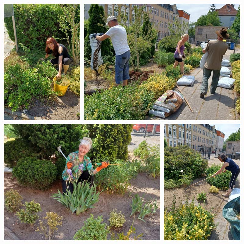 Arbeitseinsatz im Vorgarten